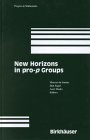 New horizons in pro-p groups